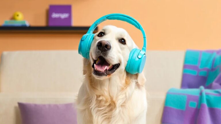 Audiozabawy – co to jest, dlaczego są ważne i jak działają?